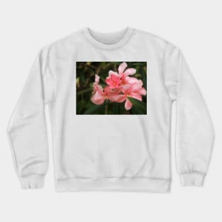 Flowers of the Dominican Republic Pink Crewneck Sweatshirt